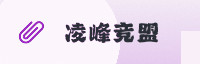 合作伙伴